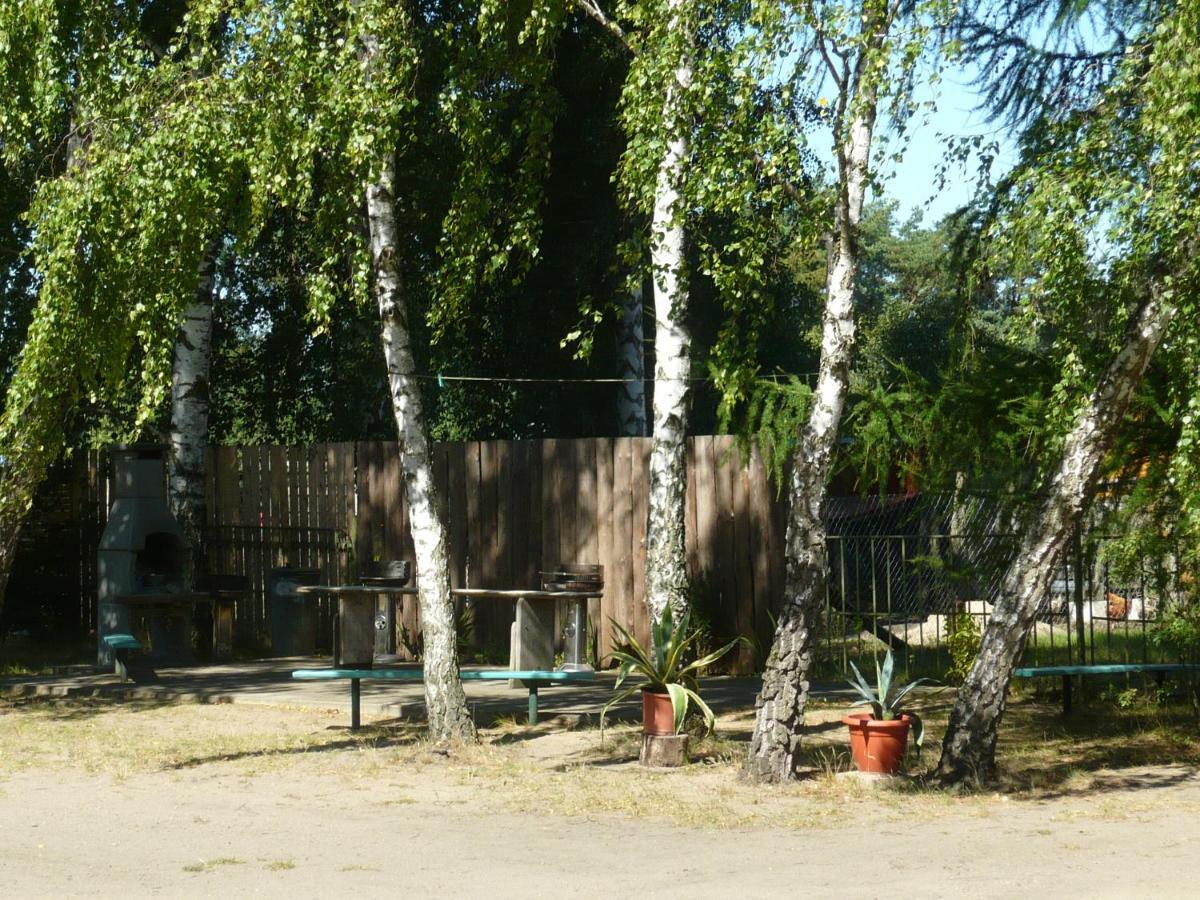 Grosse Wohnung Nossentiner Huette Exterior foto